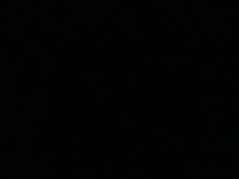 Baitbois webcam