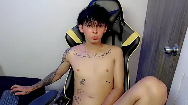 thebrusser webcam