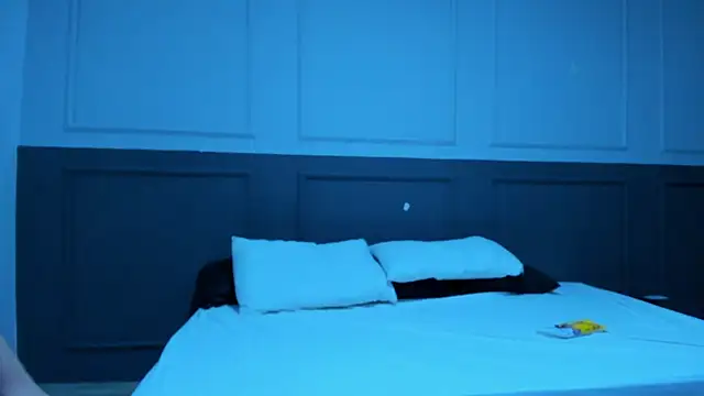 MaxCooper1 webcam
