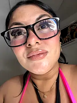 linatarens webcam