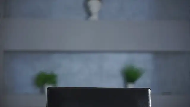 TheaBodge webcam