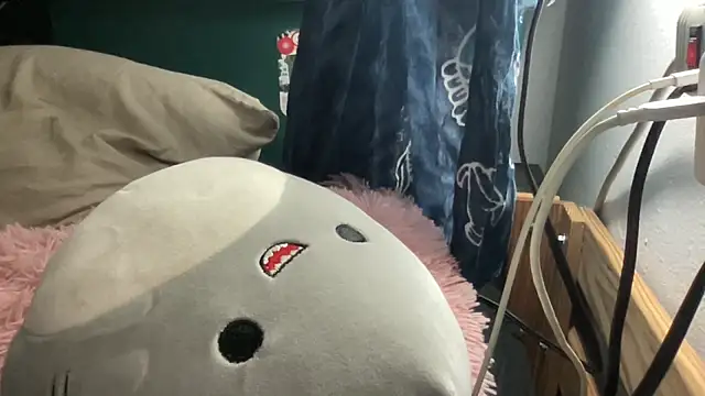 dddasani webcam