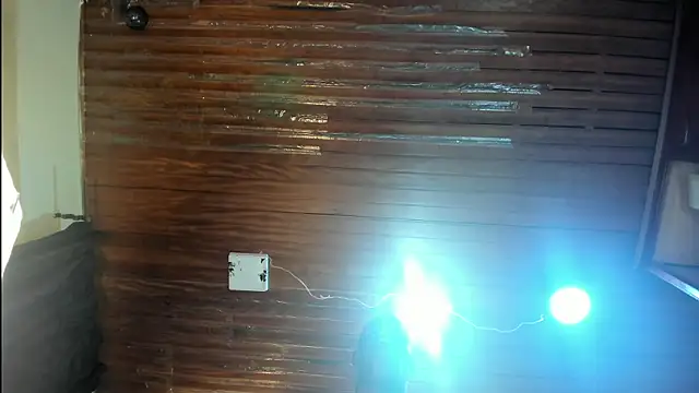 martin_killer webcam