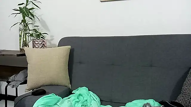 Norehg_ webcam