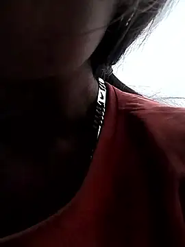 pochgt webcam