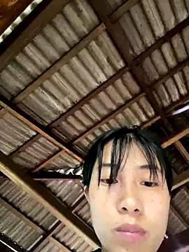 adxi9 webcam