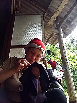 muisiet webcam