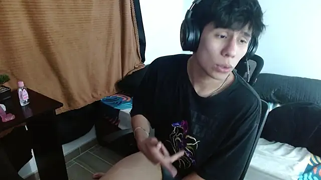 Dulozweb webcam
