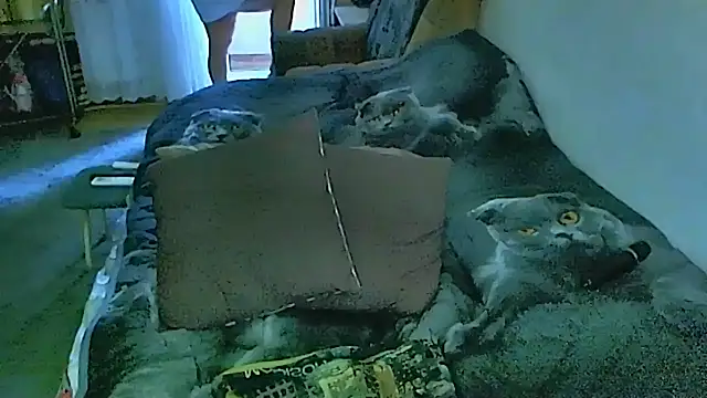 sex2 webcam