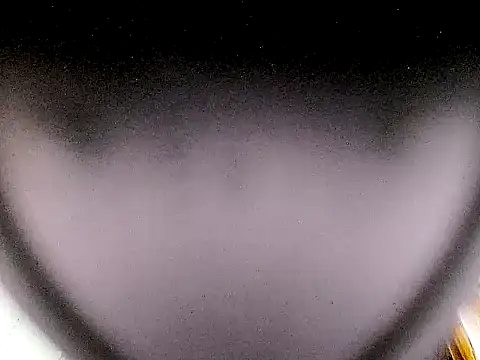 Shulee21 webcam