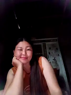 sbe54 webcam