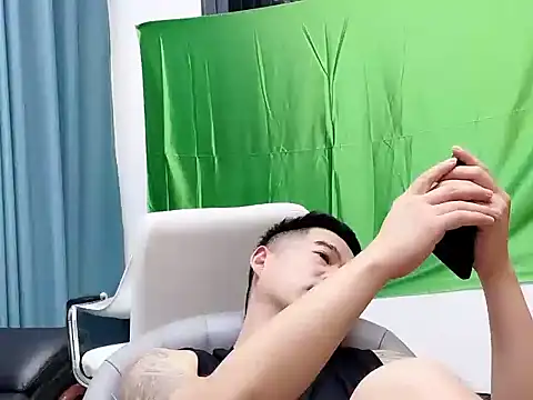 saigege webcam