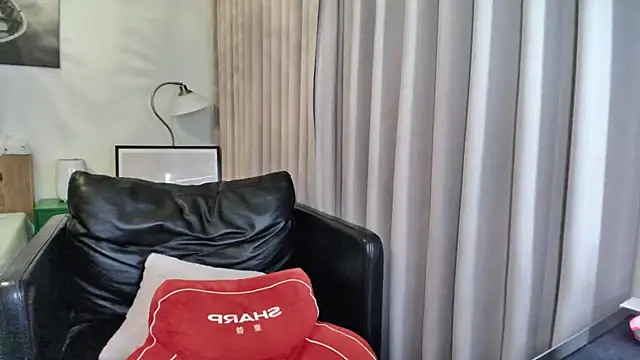 Y-AIAI webcam