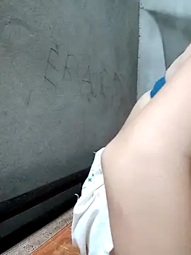 Dina_X2 webcam