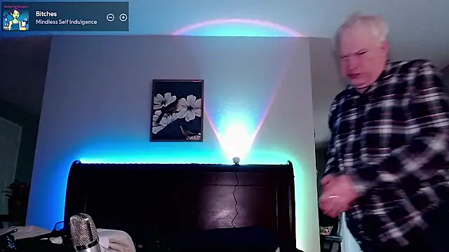 Snarfle82 webcam
