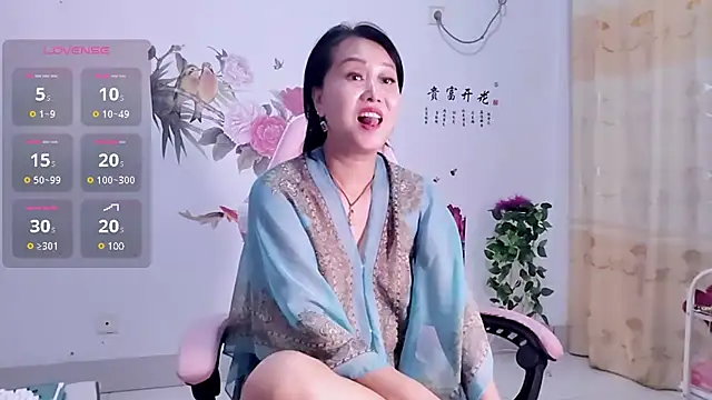 alinmeng webcam