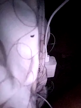 VL25DN26 webcam