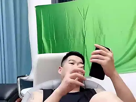 saigege webcam