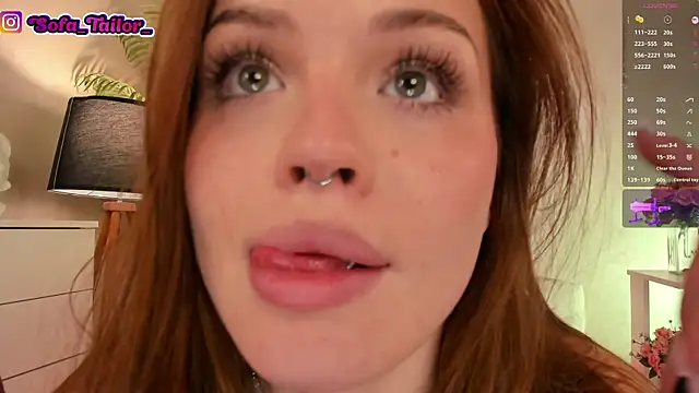 SofaTailor webcam