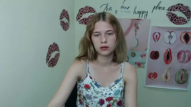 StellaCRL webcam