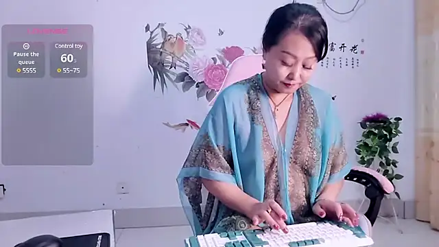 alinmeng webcam