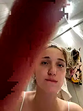 DollyTall webcam
