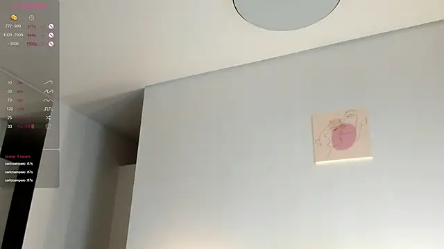 Ara_Burnard webcam