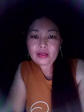 sbe54 webcam
