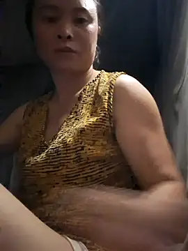 hanic22 webcam