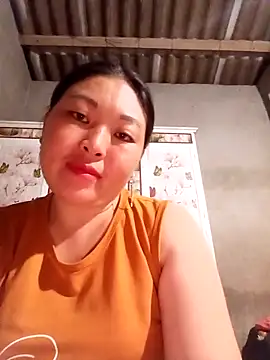 sbe54 webcam