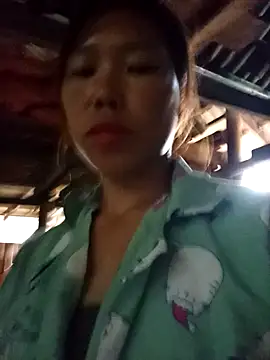 Enlyn65 webcam