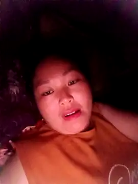 sbe54 webcam