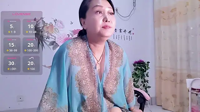 alinmeng webcam