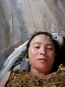hanic22 webcam