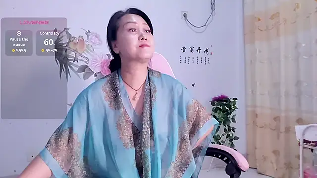 alinmeng webcam