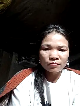 Fafians webcam