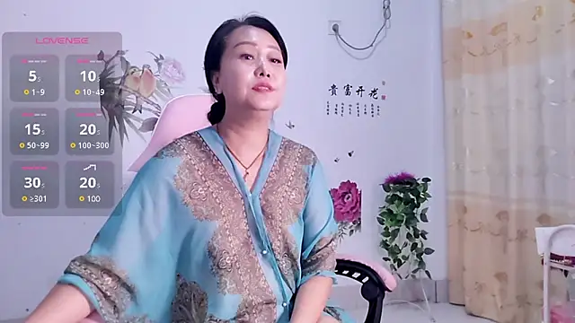 alinmeng webcam