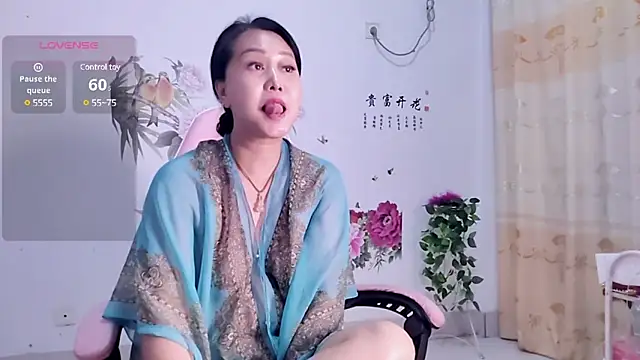 alinmeng webcam