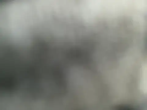 blacksami-0 webcam