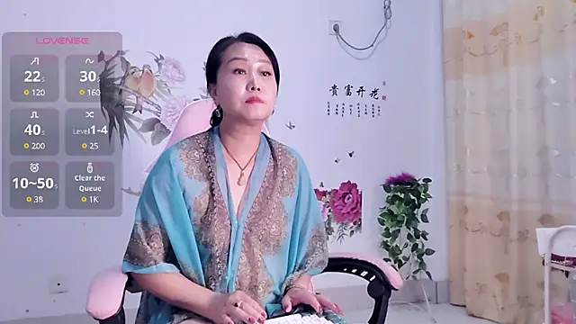 alinmeng webcam