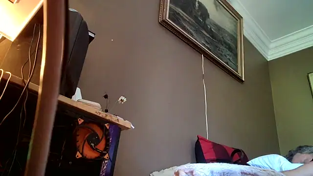 SilverandFox webcam