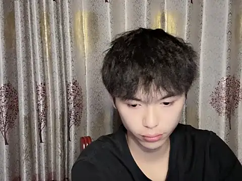 w5206t webcam