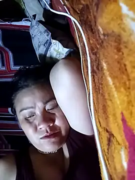 muisiet webcam
