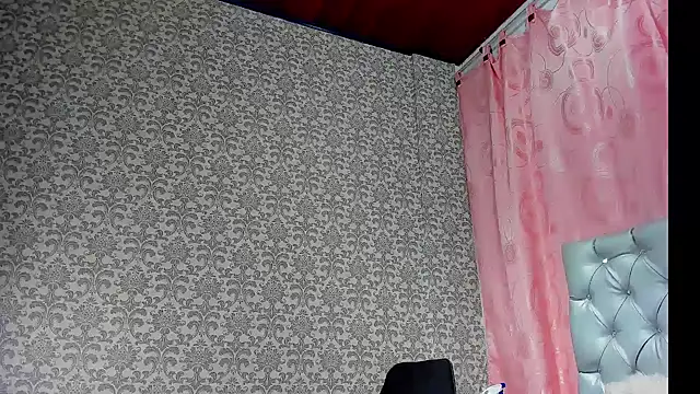 any_rox webcam