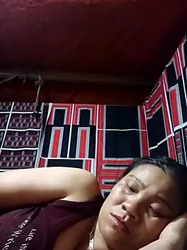 muisiet webcam