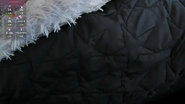 LIZ_HOLMES webcam