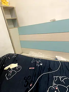 zqq5522 webcam