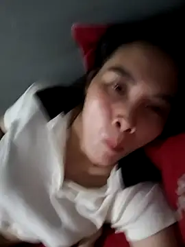 Sasunh webcam