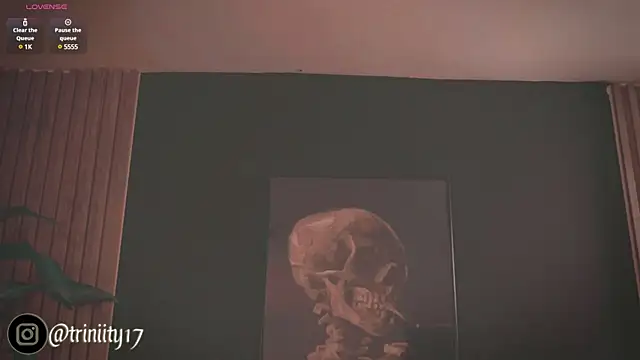 Trinity___s webcam