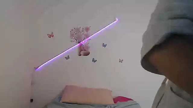 VALERIXS webcam